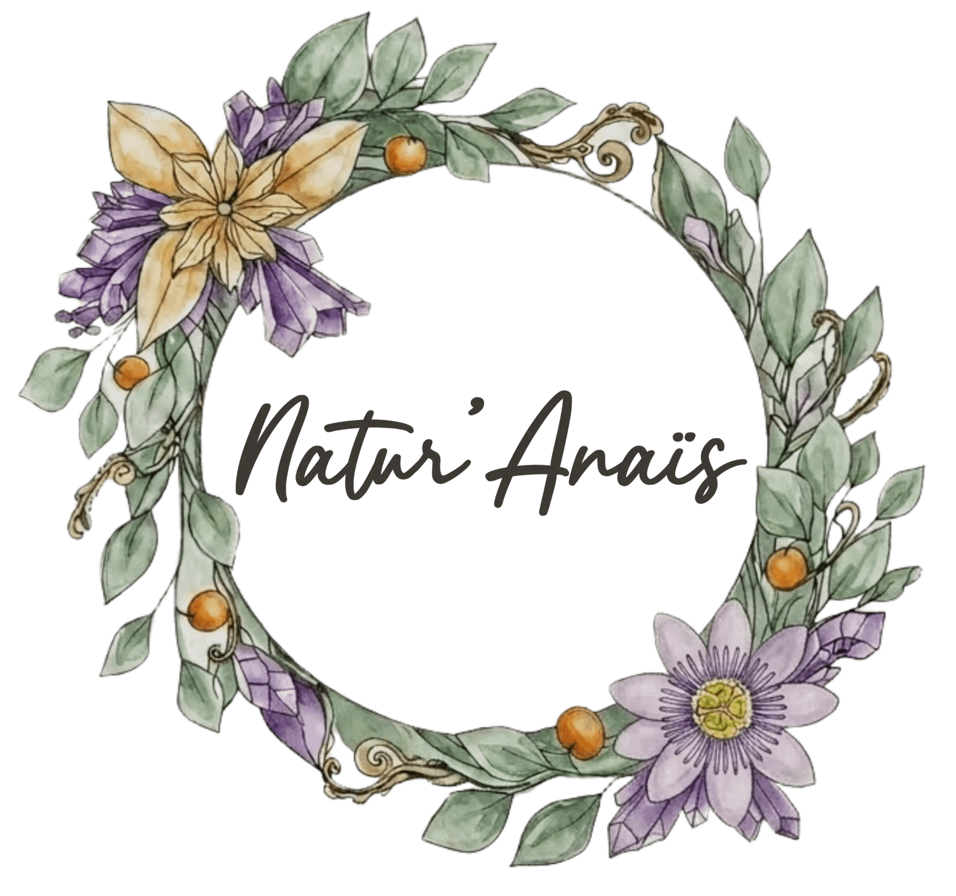 Logo Natur'Anaïs